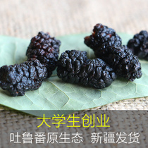 Xinjiang Turpan high quality non-addition wild black mulberry dry without sand soaking wine tea Mulberry 500 grams