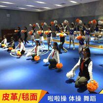  La La exercise roll mat Martial arts carpet Gymnastics mat Sports college entrance examination gymnastics special mat Aerobics fitness dance mat