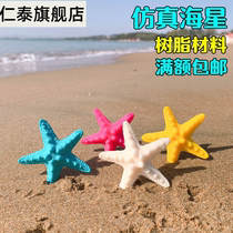 Simulation marine life starfish toy echinoderm model solid plastic Children Science Education boy cognitive gift