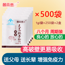 Changbai Mountain broken wall Ganoderma lucidum spore powder to improve immunity Linzhi powder robe powder official flagship store