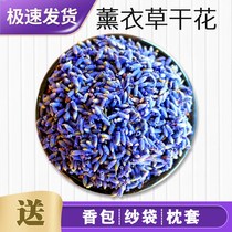 Xinjiang Ili Lavender Dried Flowers Grain Smoked Clothes Grass Essential Oils Wardrobe Fragrant Bag Pillow Filling bulk fragrant lavender