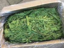 21 years of drying chicory grass rabbit grass dragon cat Dutch pig gestation pregnancy and gastrointestinal bad functional health care grass 750g