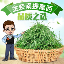 2021 New gold dress Nanti Moses dried grass rabbit dragon cat Dutch pig guinea pig heralds