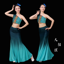 Dai dance performance suit Practice suit Performance suit Female national Dai peacock dance fishtail skirt Art examination costume