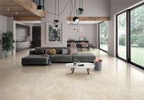  Roman Leo tiles household balcony living room kitchen and bathroom simple modern indoor floor tiles Kast (light rice)