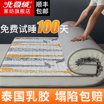 Arctic velvet mattress latex upholstered home padded student dormitory single mattress tatami sponge pad