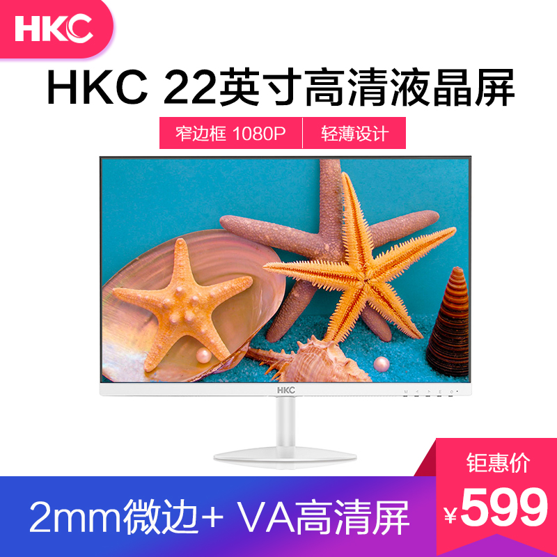 HKC H220 22 inch desktop computer display HD display chicken game LCD display