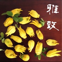 (Bergamot small fruit)Jinhua Bergamot bergamot citrus clear for fun and viewing with branches to purify the environment