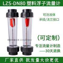 DN80 plastic pipe flowmeter float rotor flowmeter UPVC water pipe flowmeter flange socket link
