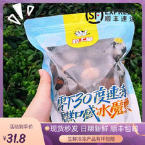 On the grain of the Emperor ice chestnut snacks Ice Magic chestnut official flagship store official website Kan Ren 400g Shunfeng