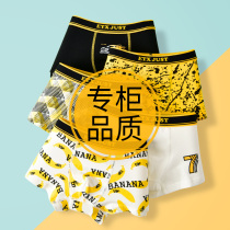 Junior high school boy fat boy cotton panties adolescent development period student child boy boxer shorts cotton 100%