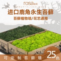 Customized Norwegian imported immortal moss wall simulation plant wall antler moss green plant background wall Image wall decoration