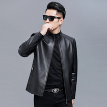 Haining autumn new leather leather men's thin collar top layer leather jacket short slim casual leather coat