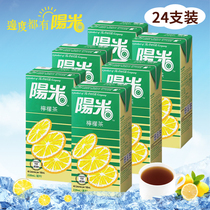 Hong Kong imported Sunshine Lemon Tea Hong Kong version Large lemon tea drink Nostalgic drink 330ml*24 boxes