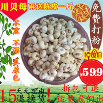 Sichuan Bei Chinese herbal medicine wild sulfur-free new Fritillaria lemon paste raw material 500g sent to tangerine peel Chuan Fritillaria powder
