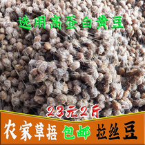 Linyi stinky beans Shandong fresh sauce beans hand-brushed salt beans homemade grass cover natto radish seasoning