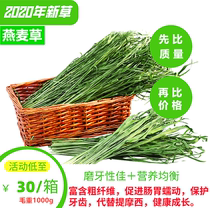 2021 Green oat grass Domestic Australian wheat forage Rabbit Chinchilla Guinea pig Gross weight 1kg can replace Timothy hay