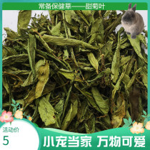 Standing health care grass Chinchen rabbit Dutch pig flower and grass snack stevia leaf 30g promote digestion anti-constipation and anti-inflammatory