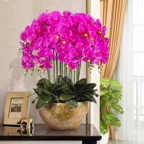 High-grade phalaenopsis simulation flower living room large fake flower decoration high-grade orchid potted coffee table floral ornaments
