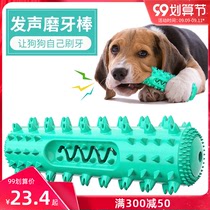 Pet dog vocal toy relief artifact resistant to bite teeth rubber ball to play Teddy Golden small dog