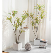 Nordic simulation plant decoration dragon blood tree millennial Wood fake green plant potted plant floor large living room indoor ornaments tree