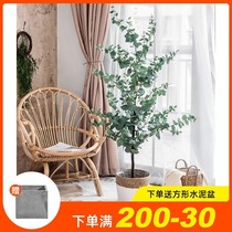 Nordic ins wind simulation green plant potted Eucalyptus large fake plant decoration indoor home net red decoration