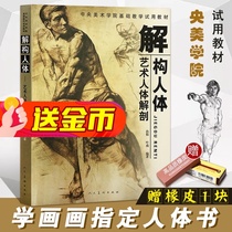 (Full 2 pieces minus 2 yuan)Genuine deconstruction of the human body Sun Tao Ye Nan Art anatomy sketch sketching painting human body structure teaching Central Academy of Fine Arts introductory basic teaching materials Copying books Peoples Art publishing art book preview