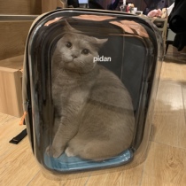 pidan pet backpack cat bag out portable space capsule breathable shoulder bag hand carry large size foldable