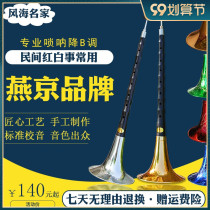 Suona musical instrument full set Yanjing professional Ebony Ebony flat folk red and white things Adult Beginners big and medium number