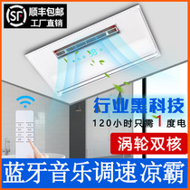 Kitchen cold 300x600 Liangba lighting ventilation Bluetooth music integrated ceiling air conditioner fan