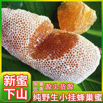 Yunnan wild small hanging honey nest honey chew eat pure natural soil honey hundred nectar grass honey new honey down the mountain