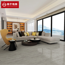 Yangtze floor laminate floor YZ956 in addition to aldehyde environmental protection floor moisture-proof wear-resistant suitable for modern simplicity