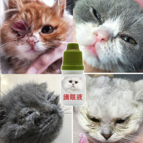 Cat eye drops cold nasal herpes virus drops Cats and dogs universal anti-inflammatory conjunctivitis sneezing