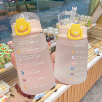 Water Cup portable girl cute 2021 Winter new net red high color value student girl with straw Cup maternal