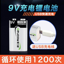 Delip 9V rechargeable battery USB large capacity 650 microphone KTV6f22 nine volt square rechargeable Lithium