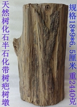 Natural Wonder Stone Ornamental Stone Fossil Tree Tree Jade Silicified Wood Tree Fossil With Scar Stick 1901