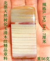 North Ticket Natural Wonder Stone Ornamental Stone Fossil Wood Fossil Silicified Wood Tree Tree Jade Color Wood Grain Fine Stamp Material 2000