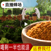 High quality lotus pollen 250g pure natural farm home-grown fresh edible Lotus pollen raising bee pollen