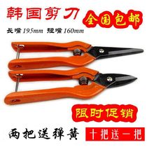 Korea Cut Branch Scissors Spring Scissors Hand Scissors Ceiling Scissors Long Mouth 195 Short Mouth 160MM