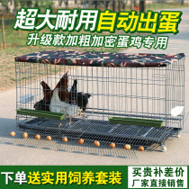  Chicken cage Household breeding cage wire chicken coop Family chicken cage King-size automatic egg cleaning dung chicken cage Rabbit cage