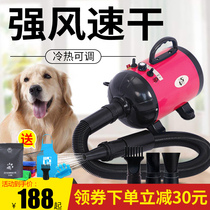 Pet hair dryer Large medium and small dogs household dogs cat supplies dogs special drying hair blowing artifact water blowing machine