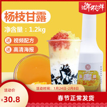 Yangzhi Ganlu Beverage Intense Pulp 1 2kg Mango Fruit Tea Mango Juice Milk Tea Raw Dessert Milk Tea Shop Commercial