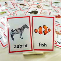 English card flash card animal animal card 72 childrens physical picture word card early education Enlightenment teacher teaching aids