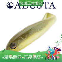 Japan original imported ADUSTA Soft fish 2 inches 3 inches T tail Luia false bait Penta Shad soft bait multicolor