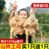 (Buy one get one free) Fresh pickled chicken non-Hubei dry chicken whole salted chicken farm homemade specialty