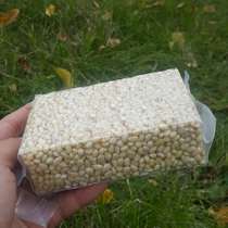 Bulk new goods Daxinganling wild horsetail pine seed kernel Yan pine seed raw pine seed 250 grams distribution bag
