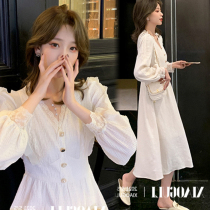  Maternity clothing brand foreign trade discount mall counters withdraw the cut standard womens autumn nursing clothing lace age-reducing dress