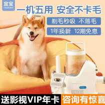 Yibao pet shaver multi-function hair clipper electric clipper hair clipper professional shaving dog hair cat large and small dogs