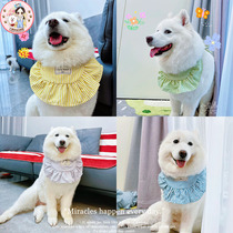 (Small tail pet) medium and large dog cute Satsuma golden hair saliva towel bib▪Sweet and salty Department sent