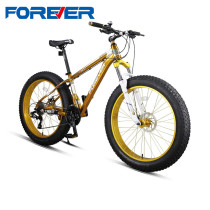 Official flagship store Shanghai perpetual brand mountain bike snow 4 0 super wide thick tire beach big tire adult